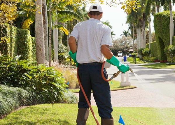 About Fairview WY Pest Control